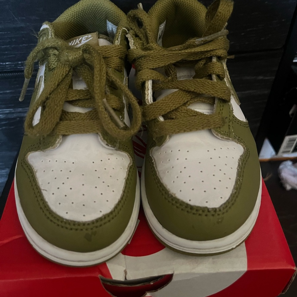 Nike Dunks Low